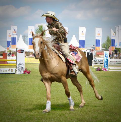Programma Cobra Cup 2017